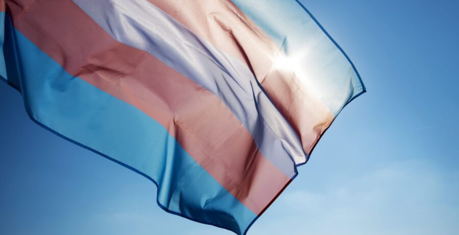 Trans flag