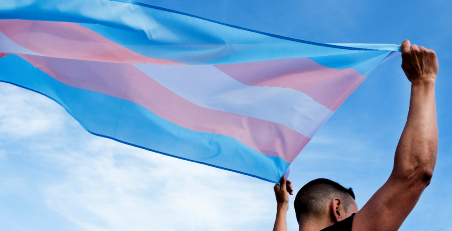 Trans flag waving